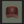 DBBH BROWN TRUCKER