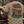 DEATH TO GROUND BLINDS T